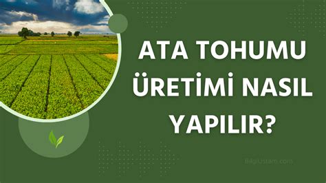 Köstebekgiller: Ata Tohumu Muhafizlari 2025